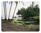 Reeds Bay Beach Park